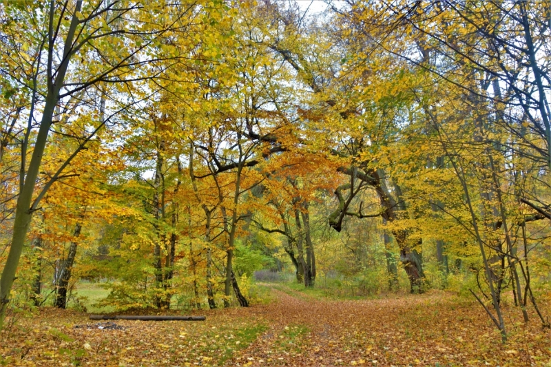 Červený Hrádek